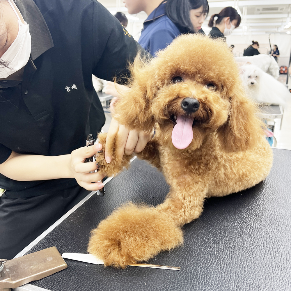 今日もたくさんのお客様！